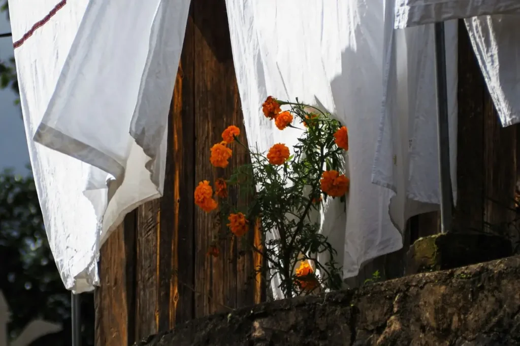 White linen sheets air drying outdoors to help preserve their natural softness.