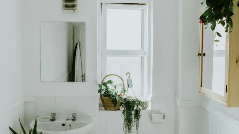 Cozy vintage white bathroom featuring a classic pedestal sink and green plants.